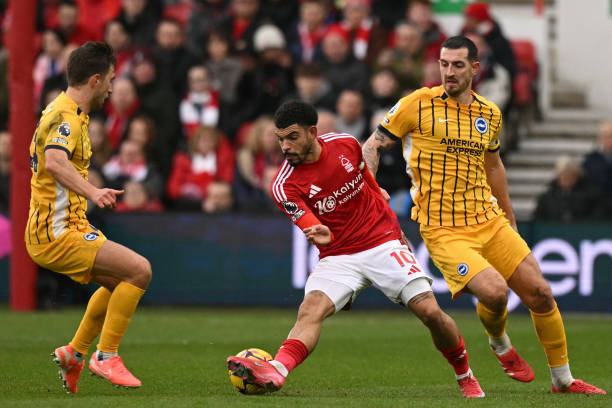 本次发行的 本次发行的